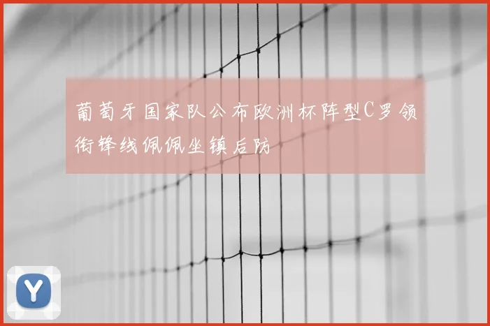 葡萄牙国家队公布欧洲杯阵型C罗领衔锋线佩佩坐镇后防