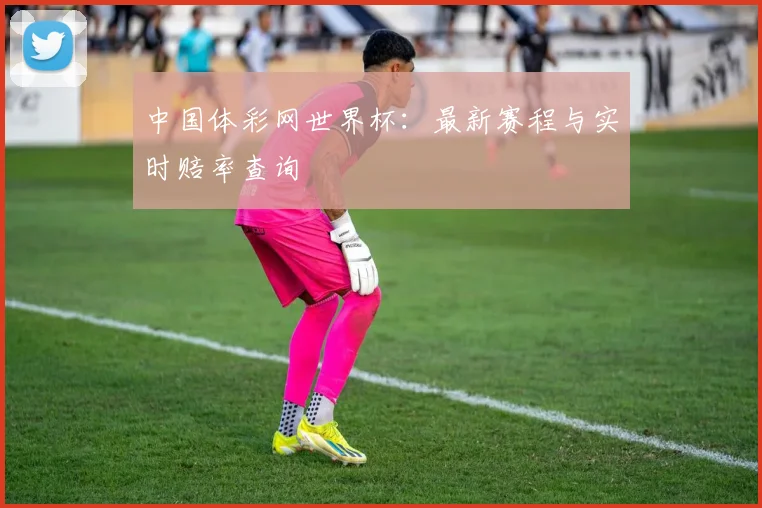 中国体彩网世界杯:最新赛程与实时赔率查询