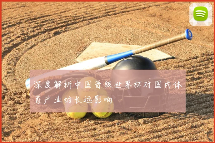 深度解析中国晋级世界杯对国内体育产业的长远影响